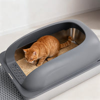 Obsidian Litter Suite™