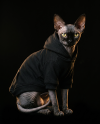 Rare Skin Lounge Hoodie™