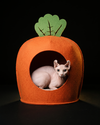 Rare One Carrot Nest™