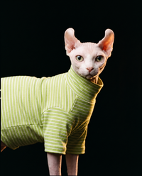 Alley Stripe Summer Suit™