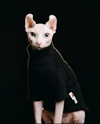 Rare Skin Turtleneck™