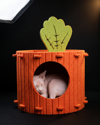 Rare One Carrot Nest™