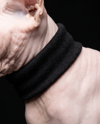 Rare Skin Turtleneck™